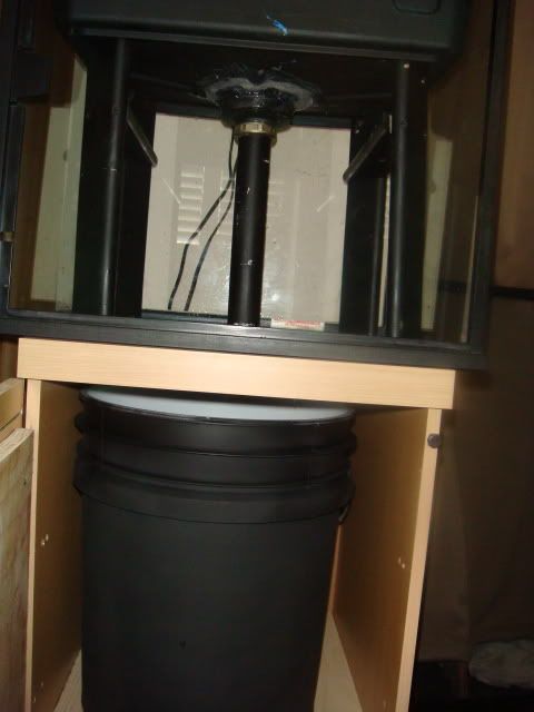 DSC03524.jpg