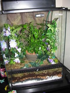 IMG_0071.jpg