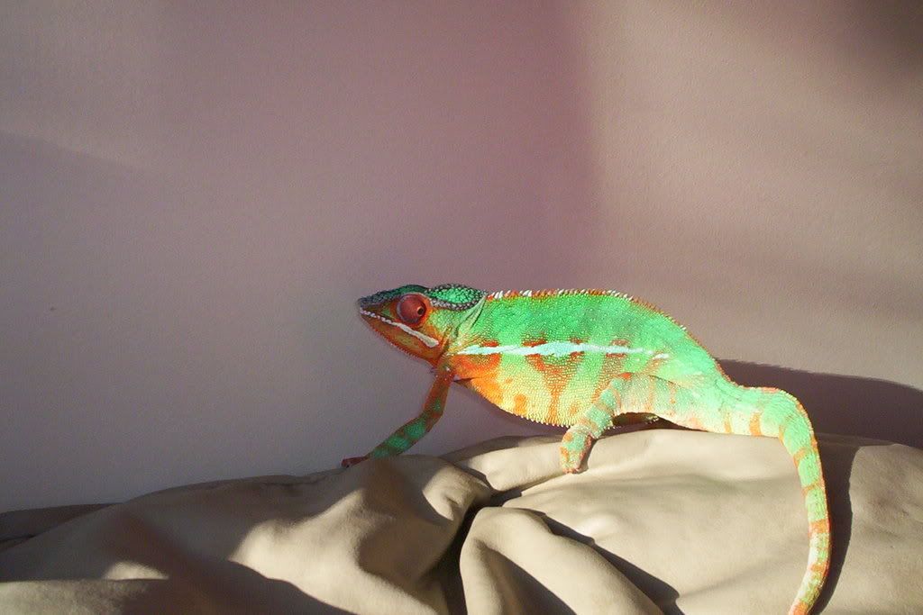 100_6037.jpg