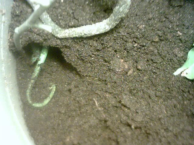 Picture009.jpg