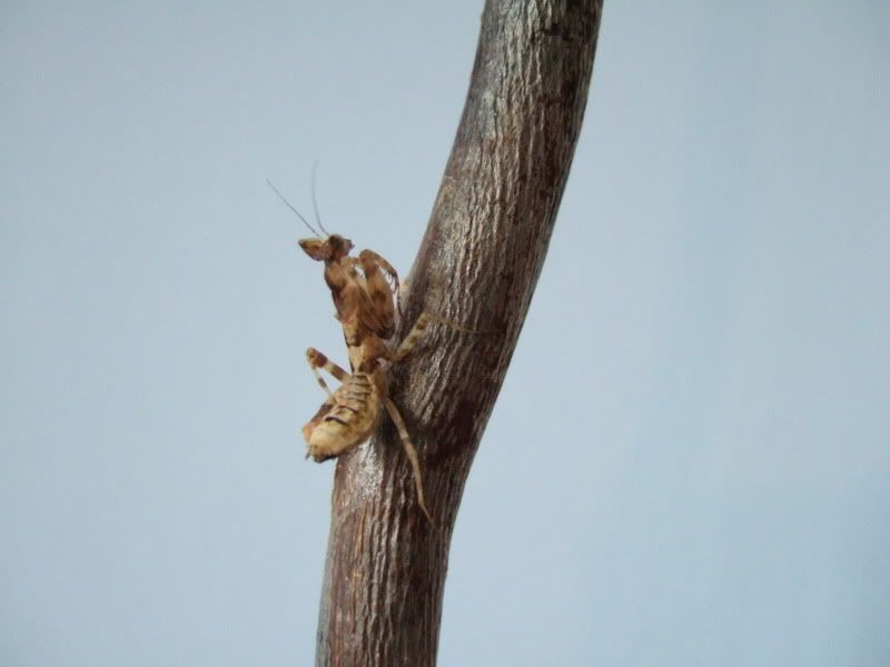 DSCF5167.jpg