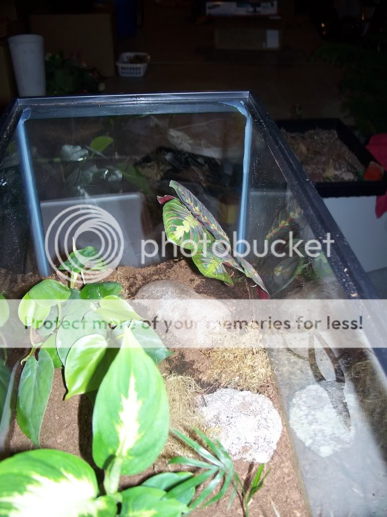 100_2821.jpg
