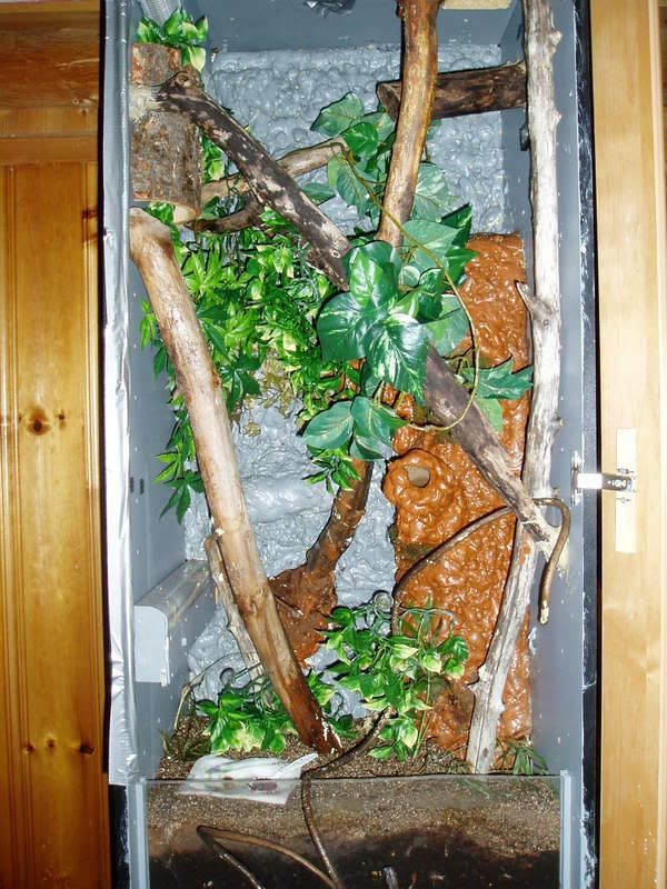 cabinet.jpg