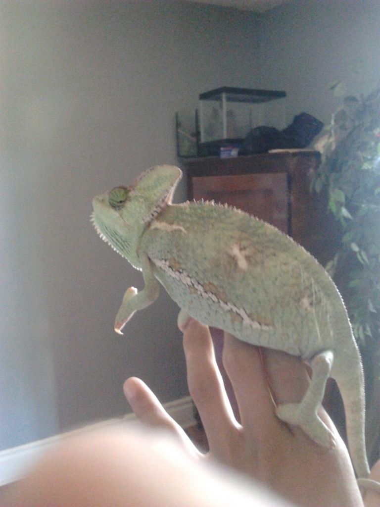 2012-07-20175907.jpg
