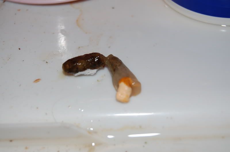 DSC_0167.jpg