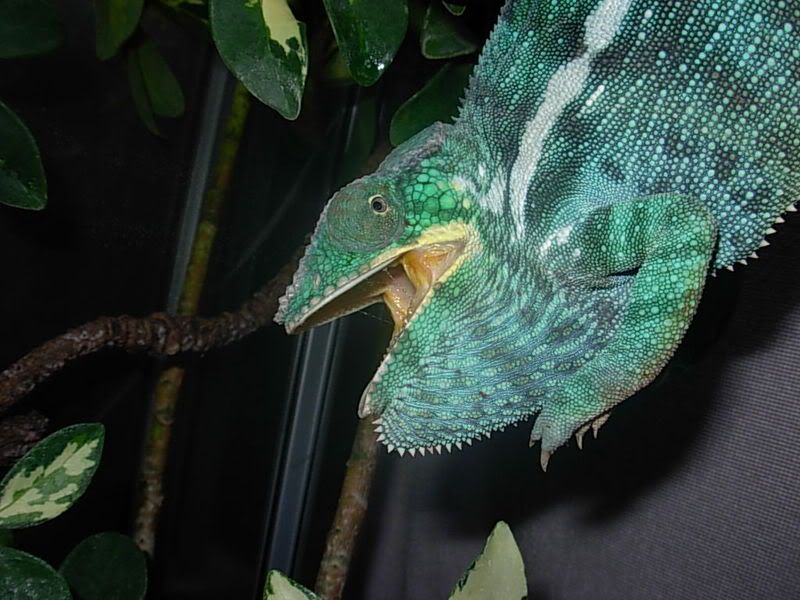 DSCN2436.jpg