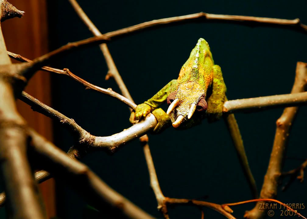 _DSC2053.jpg