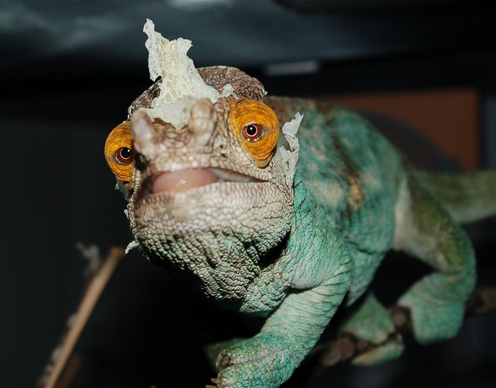 DSC_1203a_zps08c760b6.jpg