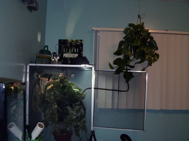 FILE0655.jpg