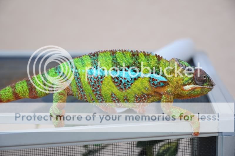 DSC_0765.jpg