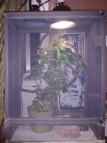 2012_10_20_19_10_15.jpg
