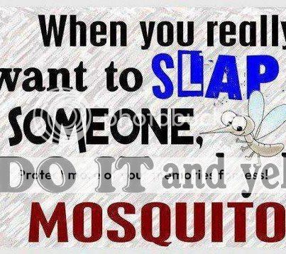 MOSQUITO_zps9999ebb2.jpg