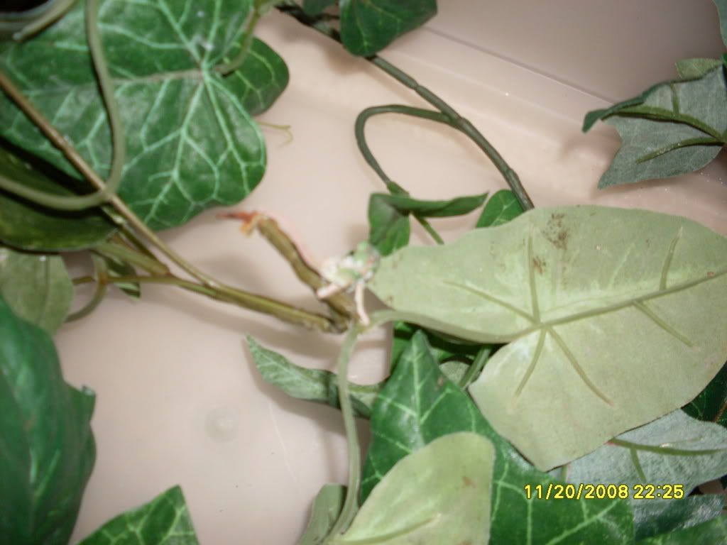SDC10149.jpg