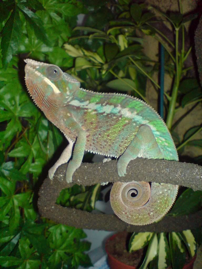 DSC01772.jpg