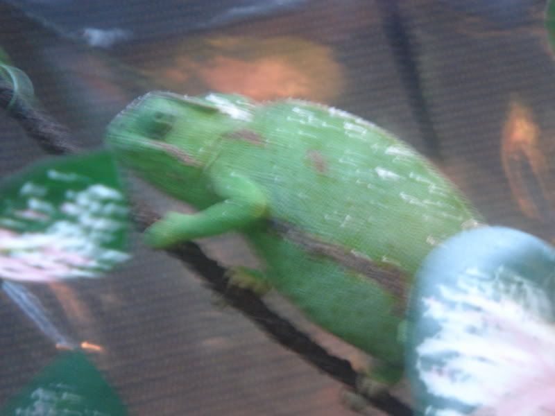DSC02410.jpg