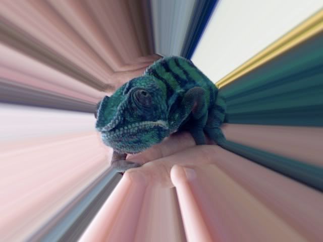 Photo160.jpg