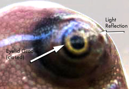 2418766667_2f9e4da73b_o.jpg