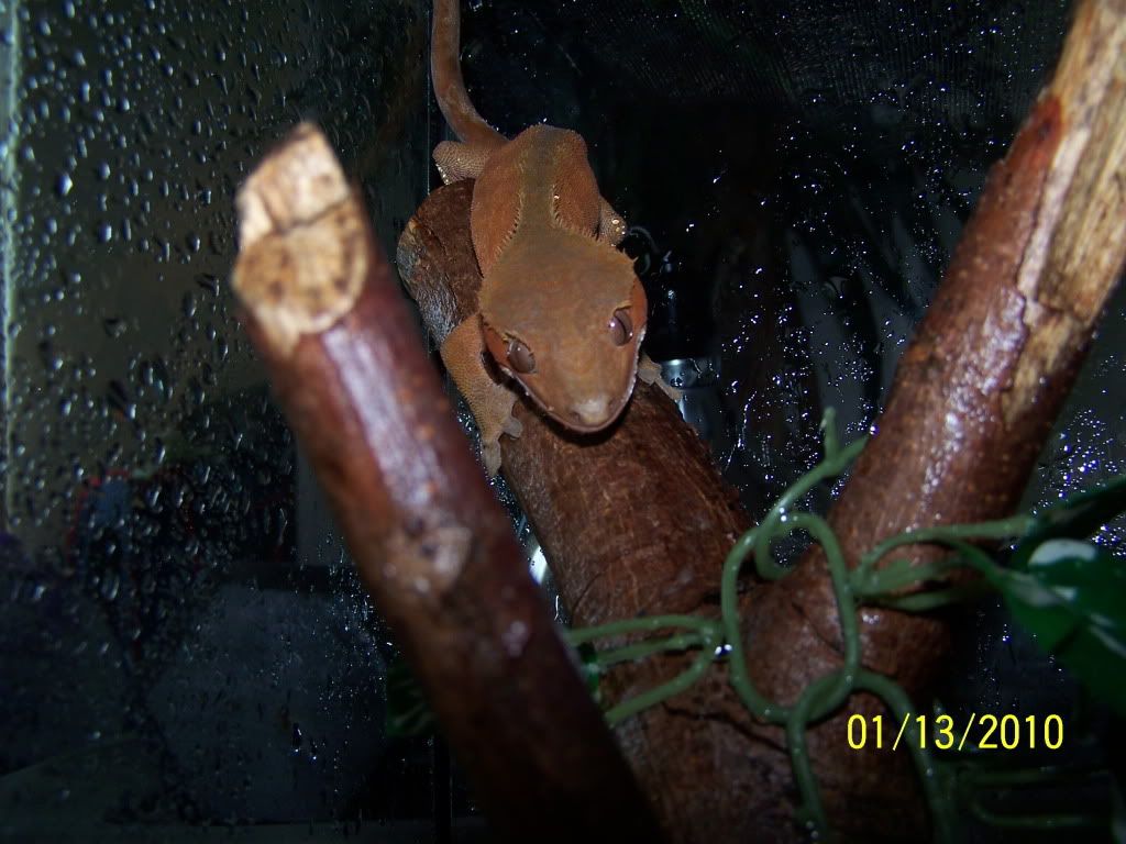 100_2112.jpg