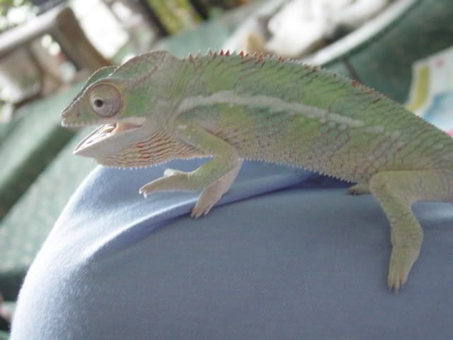 DSC08750.jpg