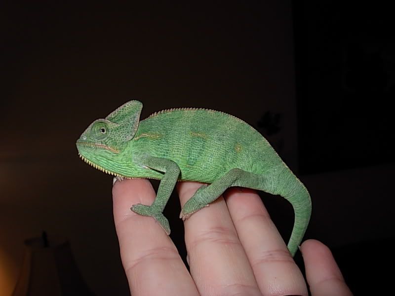 DSCN2600.jpg