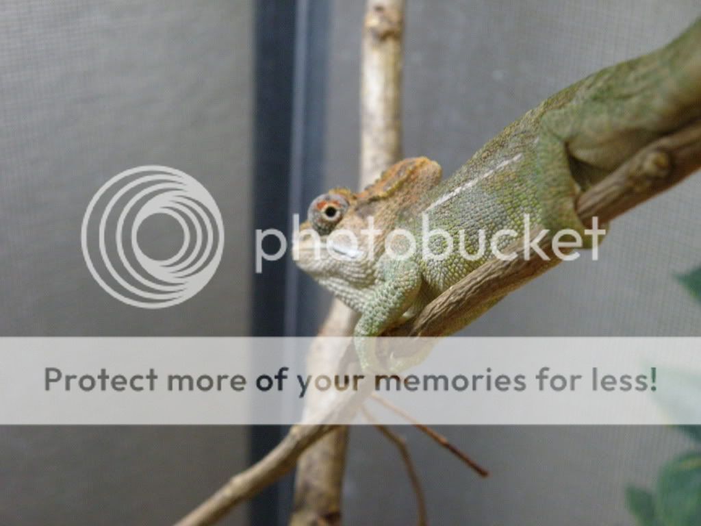 PB210781.jpg