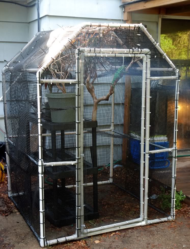 Enclosure1.jpg
