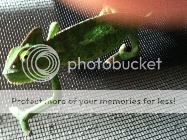 IMG_0033.jpg