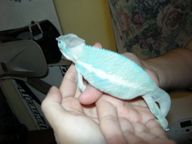 DSCN0007.jpg