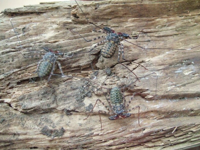 DSCF5691.jpg