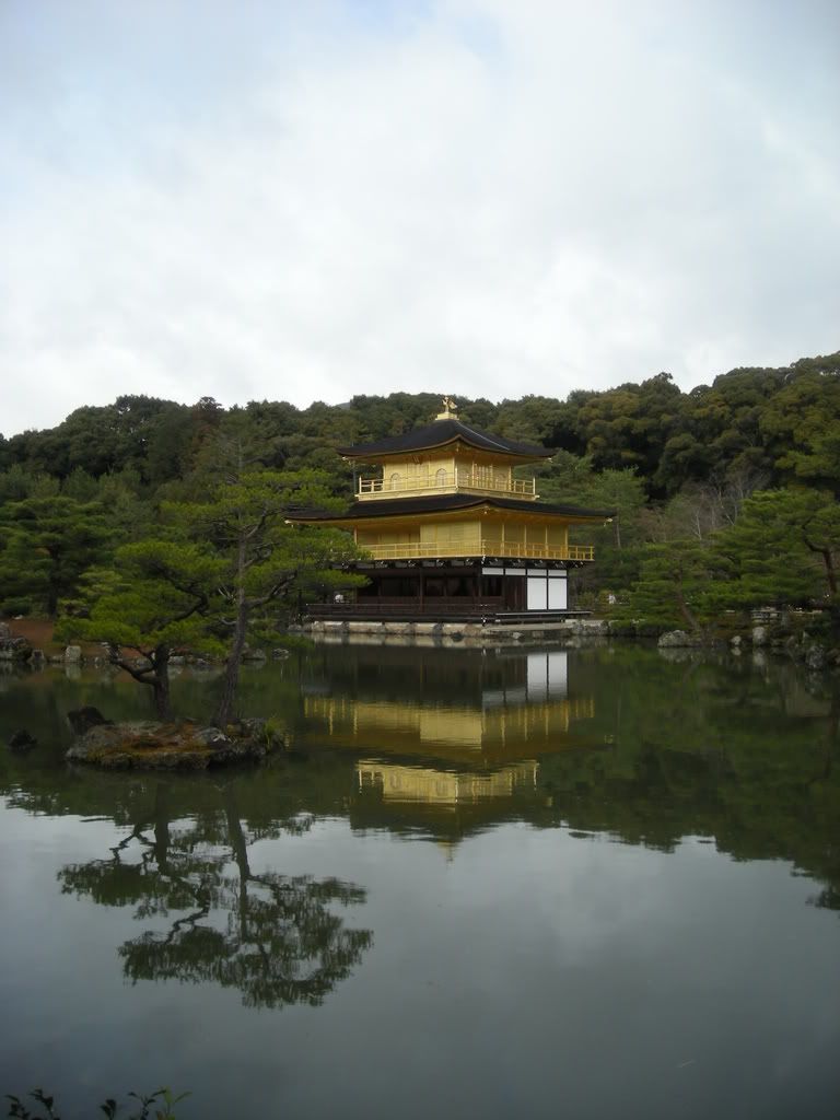 DSCN0919.jpg