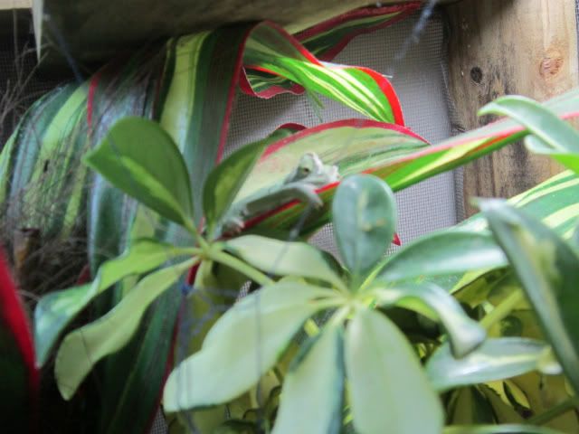 IMG_0555.jpg