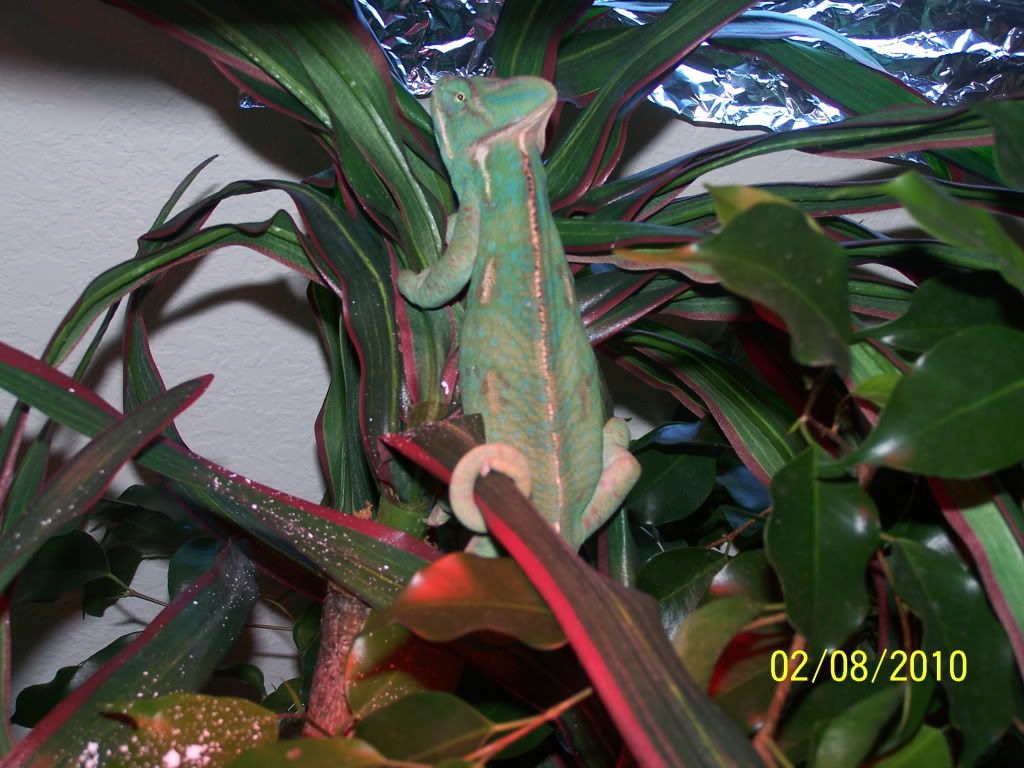 100_2369.jpg