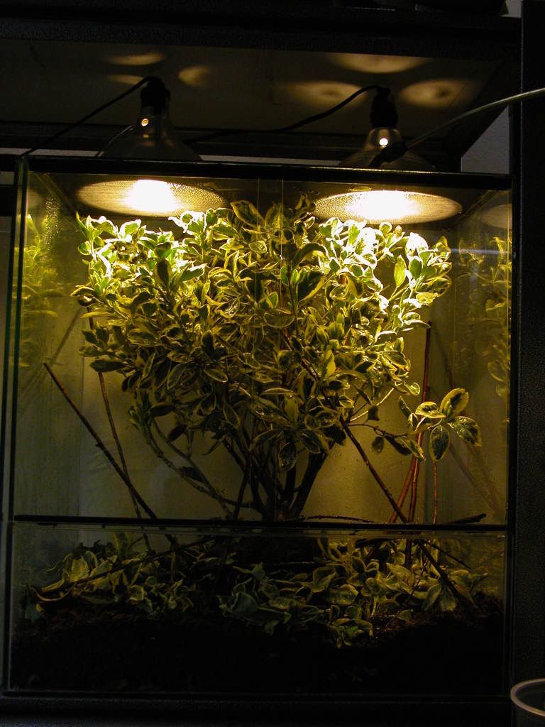 DSCN0007-2.jpg