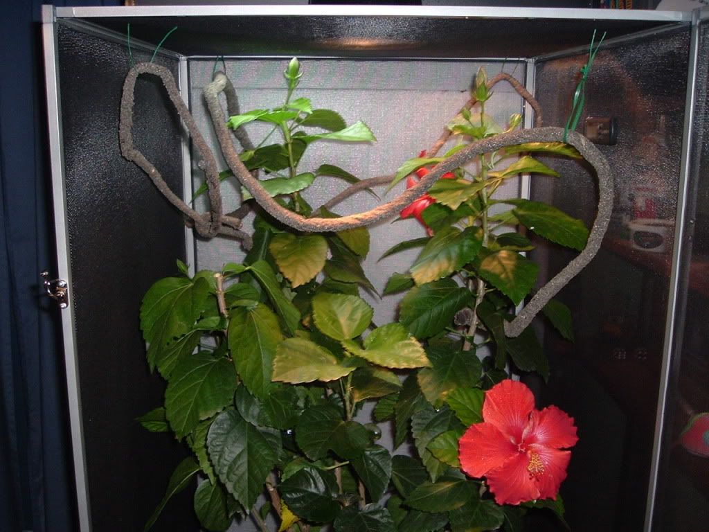 DSCF0434.jpg