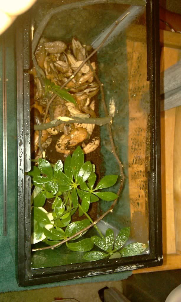 IMAG0029.jpg