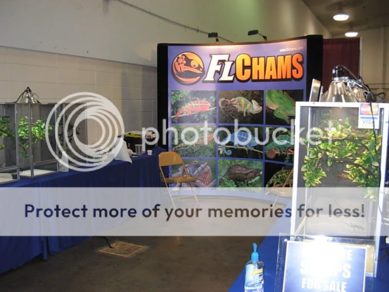 DSCN4357.jpg
