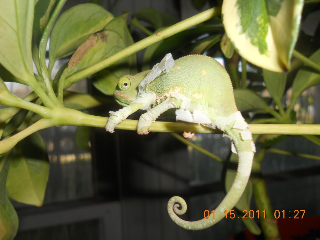 DSCN1382.jpg
