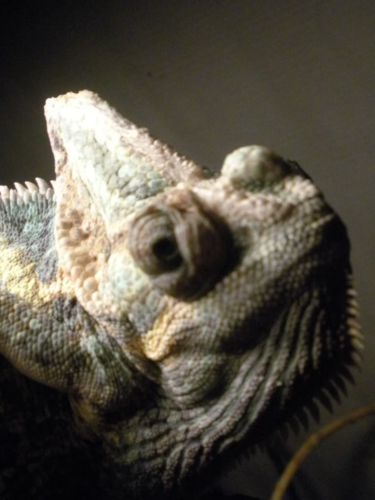 DSCN3154.jpg