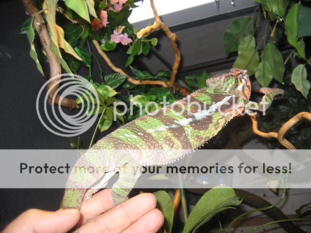 IMG_1577.jpg