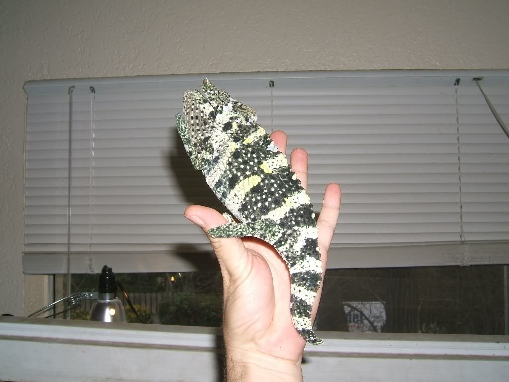 DSCF8100.jpg