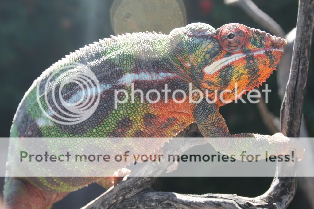eospics9-19-09092.jpg