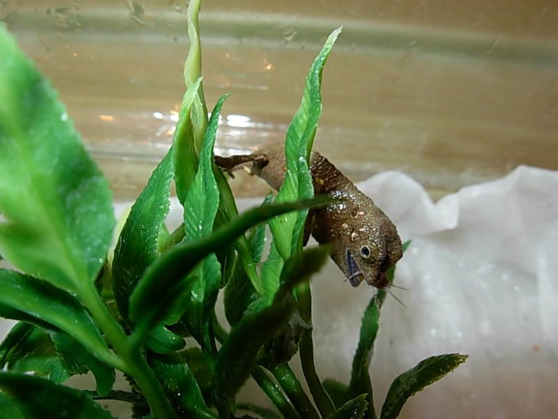 DSCN1698.jpg