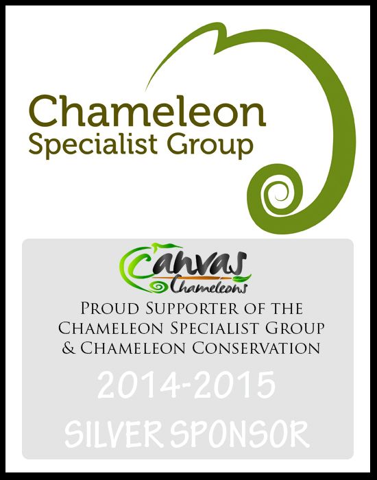 CSG%20Sponsor%20Badge_Silver_CanvasChams.jpg