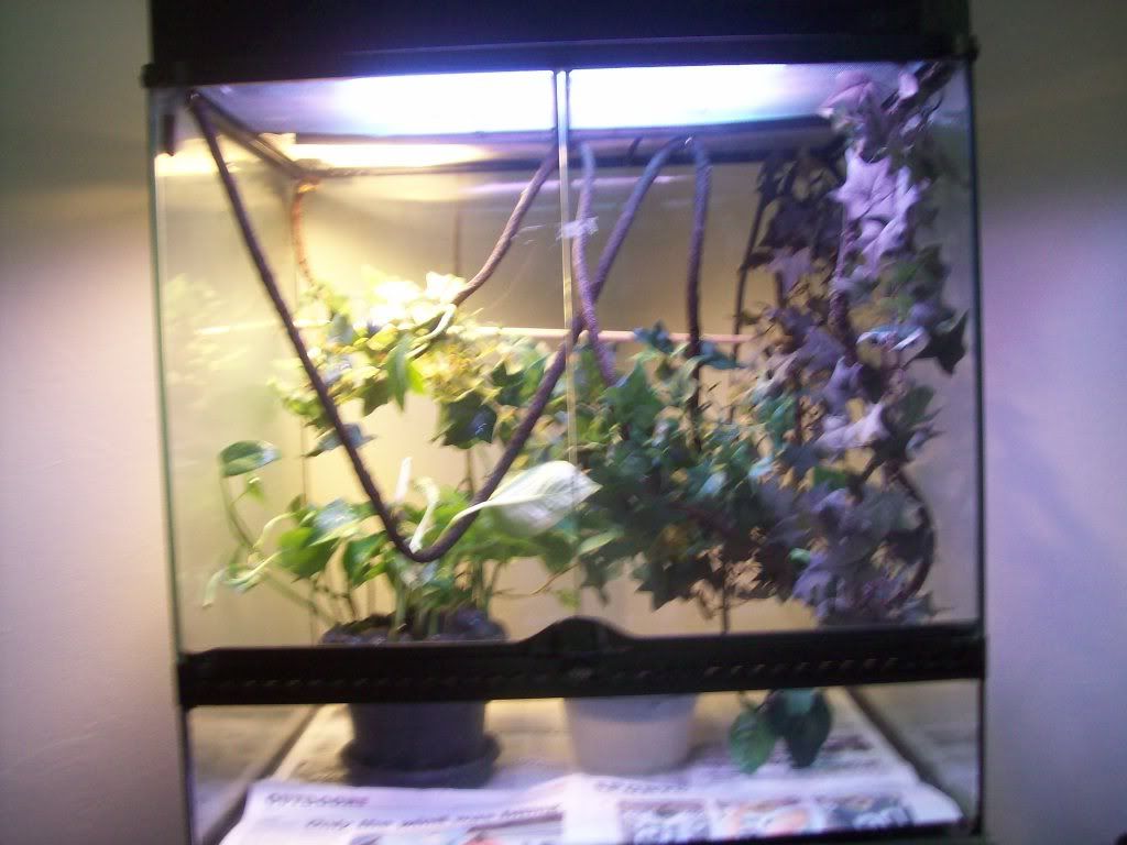 100_4246.jpg