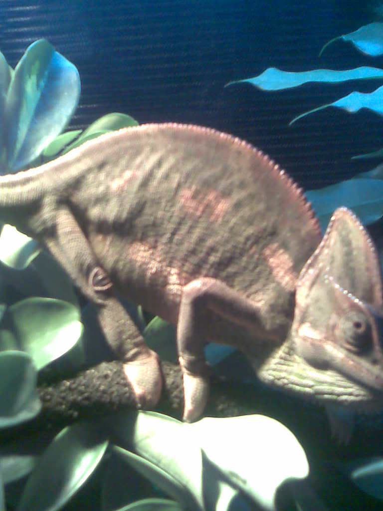 Image023.jpg