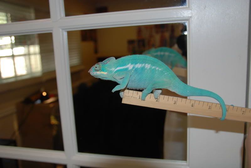20071215001.jpg