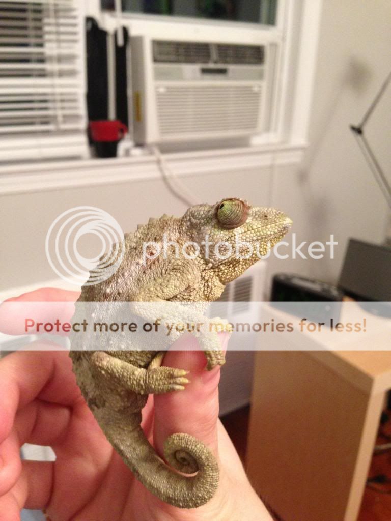 photo1-1_zps43e7f38d.jpg