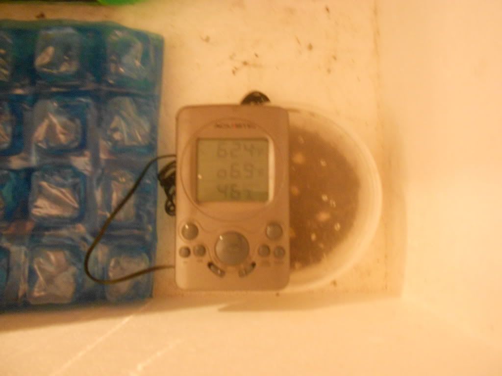 DSCN0560.jpg