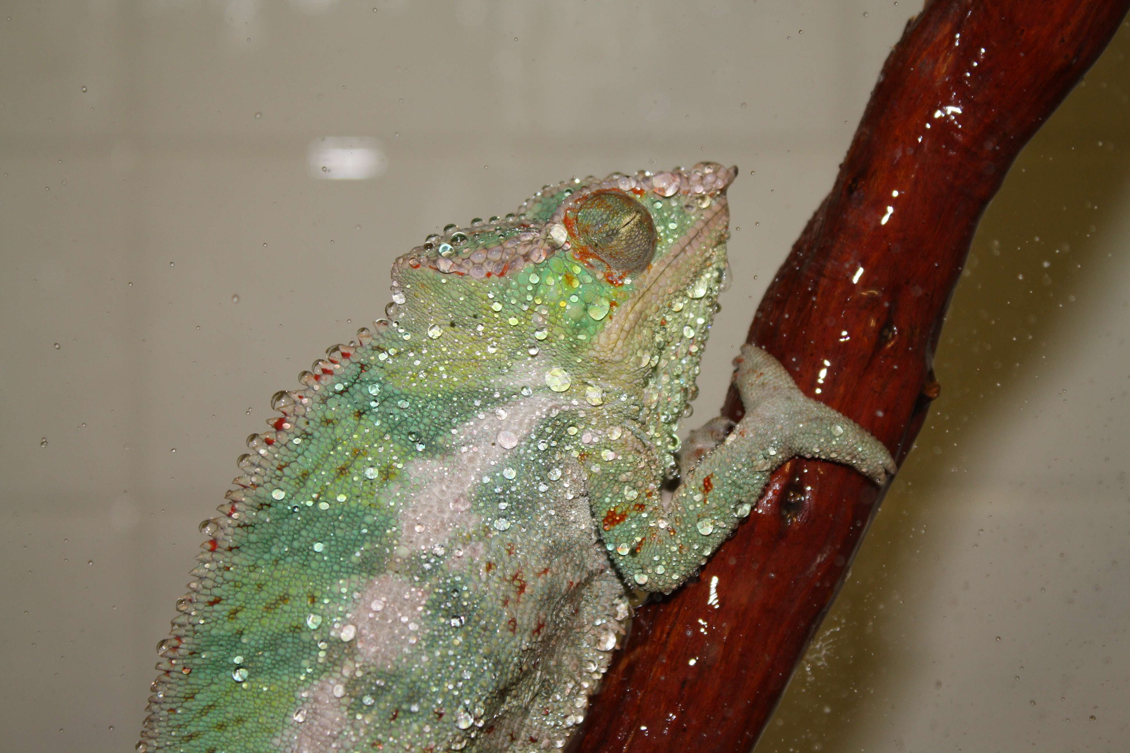 img3834n.jpg