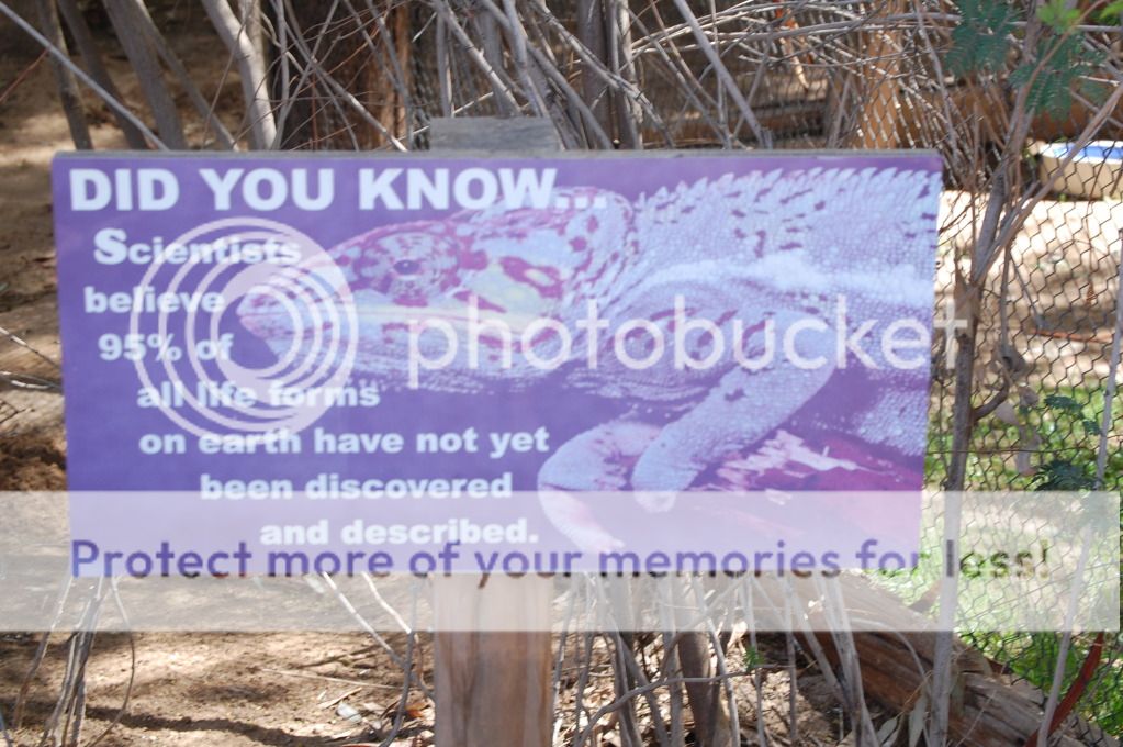 Zoo033.jpg